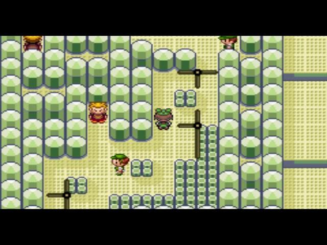 Pokemon Emerald: Winona's Gym Puzzle (Fortree City Gym)