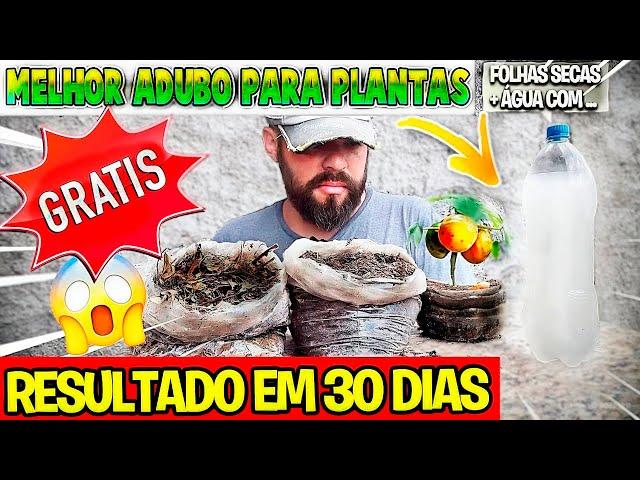 SE VOCÊ TEM ISSO EM CASA, NÃO JOGUE FORA É O MELHOR ADUBO PARA PLANTAS