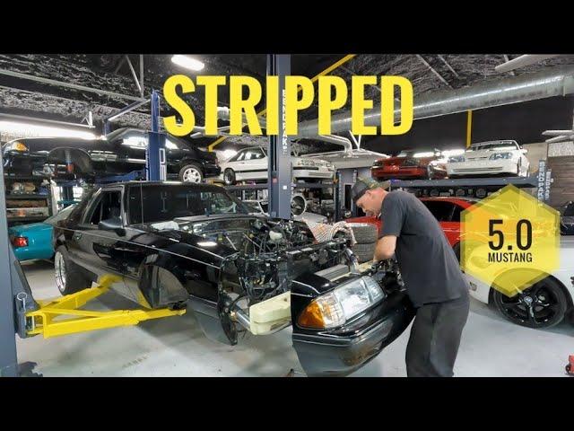 Foxbody Mustang Engine Bay Revamp - This is how you do it!