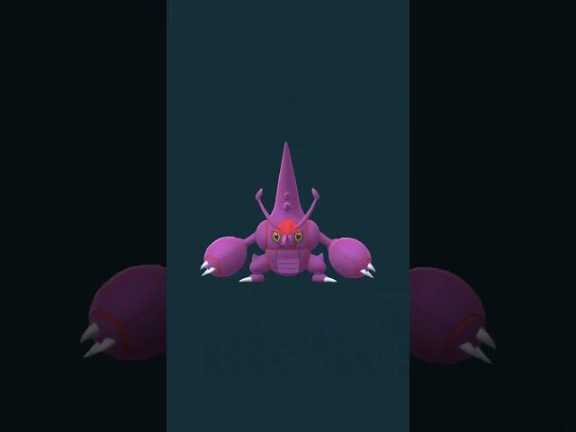 RARE FIND! Shiny Heracross Mega Evolves!  Pokémon GO