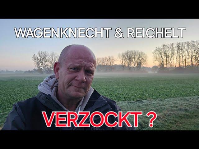 REICHELT VERLIERT UND WAGENKNECHT POKERT - NEUWAHLEN ?