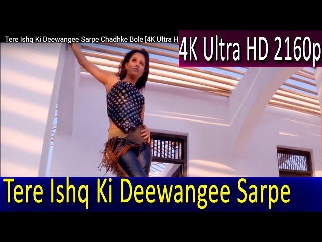 Tere Ishq Ki Deewangee Sarpe Chadhke Bole [4K Ultra HD 2160p & 1080p]