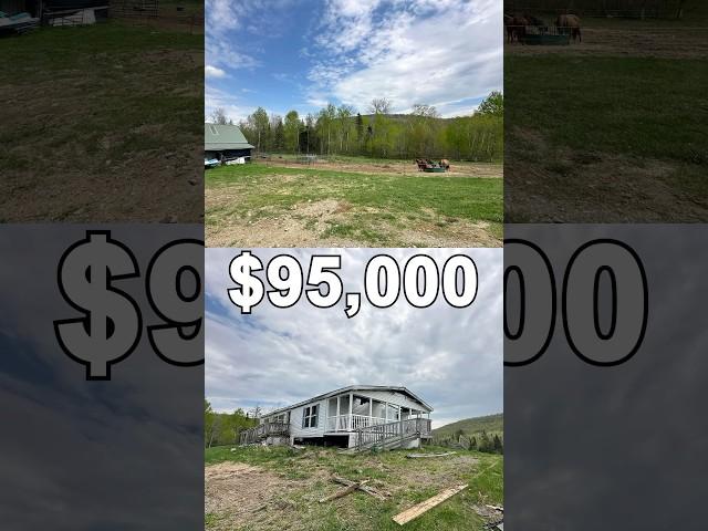 Serene 30+ Acre Homestead with Barn. $95,000 #countryestate #countryproperty #realestate