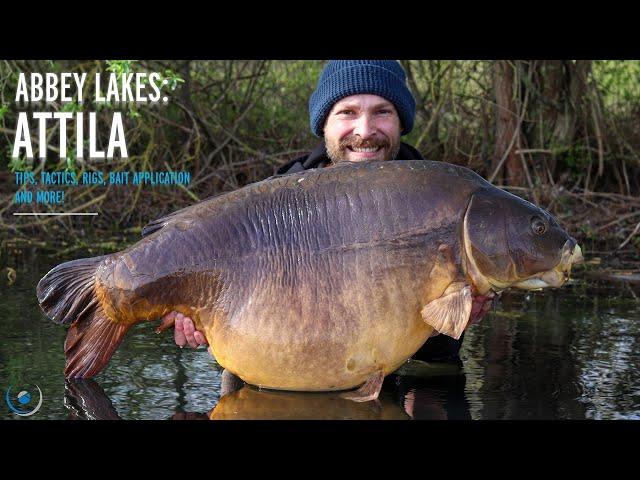 Abbey Lakes Attila | France | Carp Fishing | Tips, Tactics, Rigs