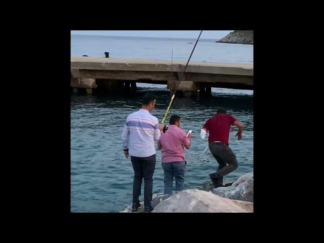 МОРСКАЯ РЫБАЛКА с берега в АЛАНИИ Хороший улов! Турция 2021 SEA FISHING Alanya, Turkey #shorts