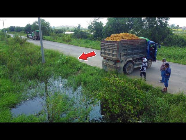 Perfectly Job!! Dump Truck 5Ton Filling Up Land into Land Flooded with Mini Dozer Working D31P