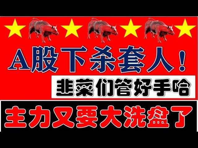 韭菜们管好手！A股盘中集体下杀！主力又想洗盘套人了！（2024.10.30股市分析）