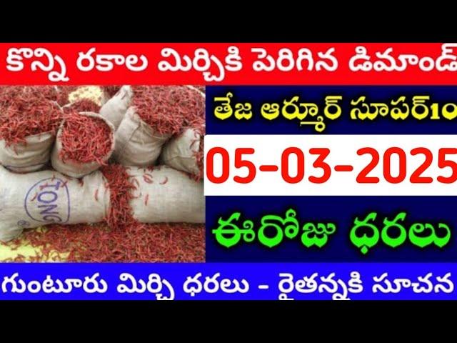 05-03-2025 గుంటూరు మిర్చి మార్కేట్ ధర || Today #mirchiRates In market ||  Mirchi Rate Increase ??