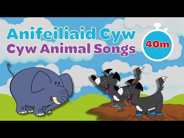 Caneuon yr Anifeiliaid | Welsh Animal Songs for Children | Cyw