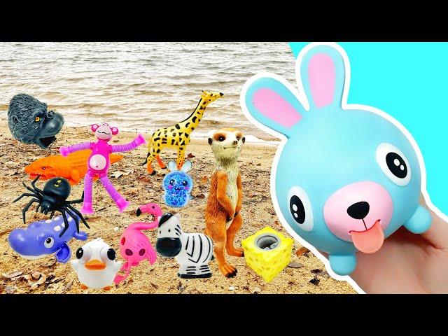 Learn Animal Names & Facts at the Lake for Kids: Monkey Rabbit Mouse Zebra