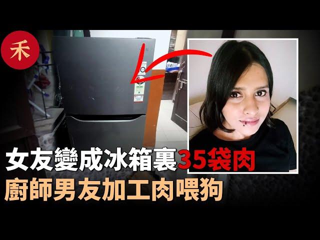 女友失蹤，廚師男友每天喂流浪狗吃肉，警方在冰箱發現35個沾血袋子#案件 #crime #crimestory #懸疑
