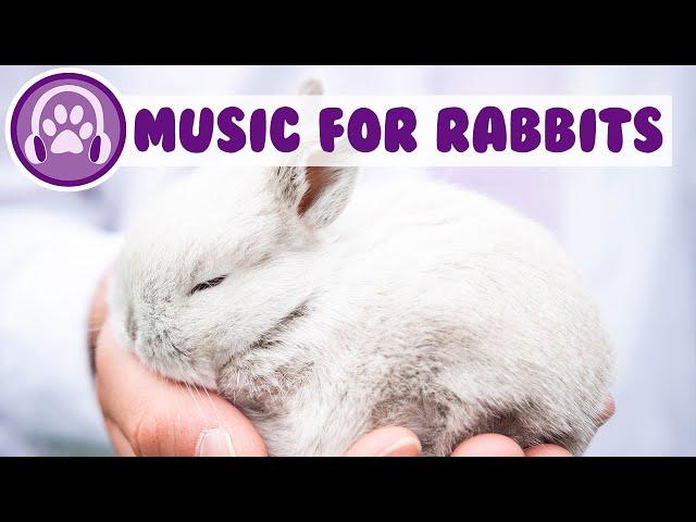 Music Just for Rabbits - Relax and Soothe Your Rabbit and Stop Anxiety!