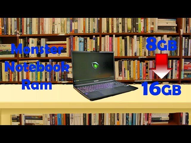 Monster Notebook Ram Takma [2020]