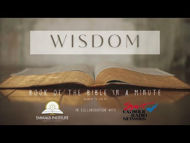Wisdom of Solomon (Book of the Bible in a Minute)