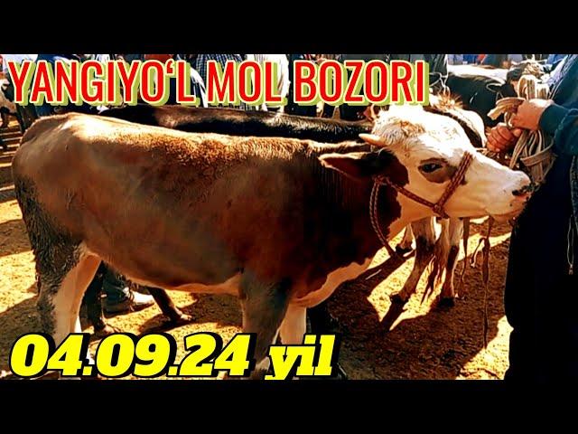 YANGIYOʻL MOL BOZORIDA YOSH GʻOʻNAJINLAR NARXLARI 