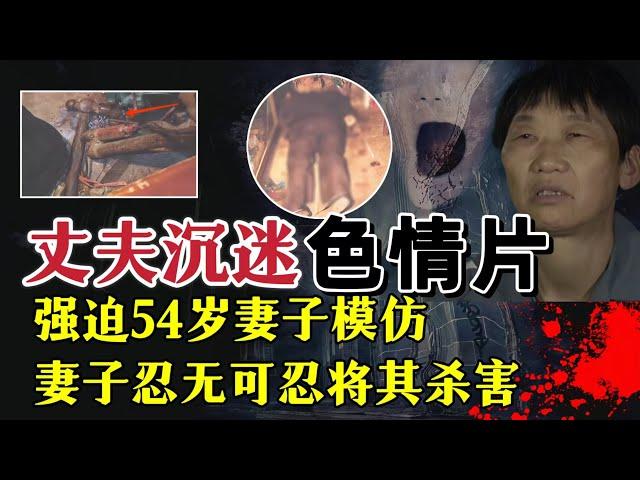 沉迷色情片，蹂躏妻子，给儿子戴狗链？|奇闻大案故事会