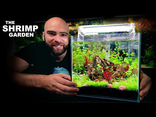 The Shrimp Garden: ALL in ONE Kit Aquarium