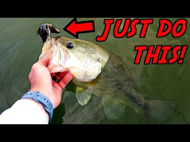 The #1 Way to Catch GIANT Bass in the Summer!