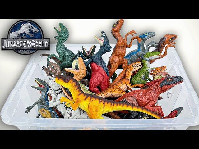 All Jurassic World Raptor Collection! Velociraptor, Pyroraptor, Atrociraptor Dino Figures