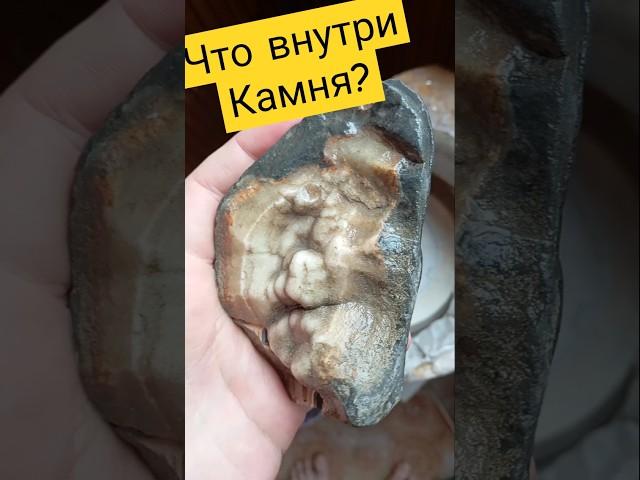 Внутри камня оказалось.. #золото #минералы #самоцветы #камнемания #gold #пирит #гранат #камень