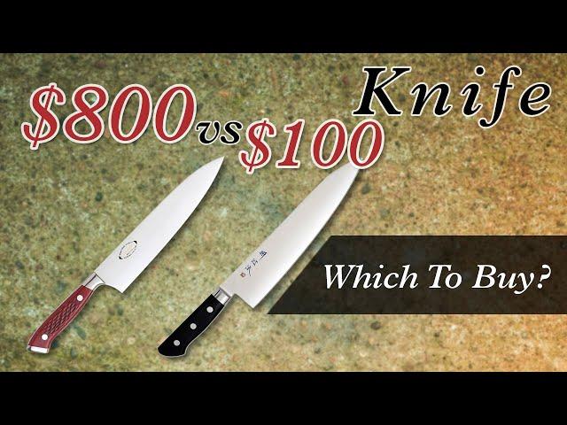 $800 Knife Vs $100 Knife - Which To Buy?