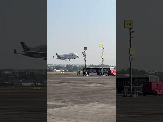 Airbus Beluga Landing at Mumbai Airport#Shorts