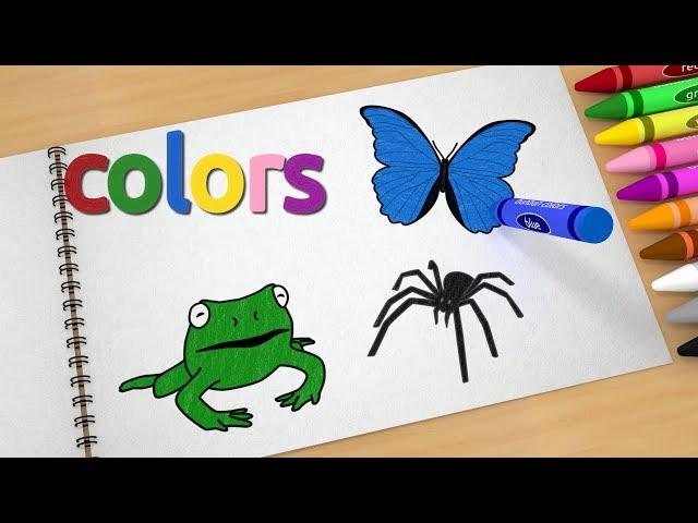 Learn colors with drawings of fruits and animals