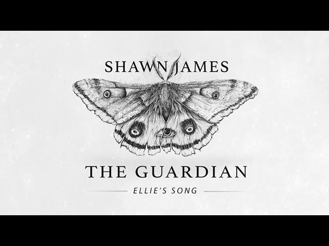 Shawn James - The Guardian (Ellie's Song) | The Last of Us Part II