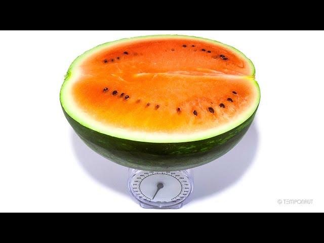 Rotting Watermelon Weight Loss Timelapse