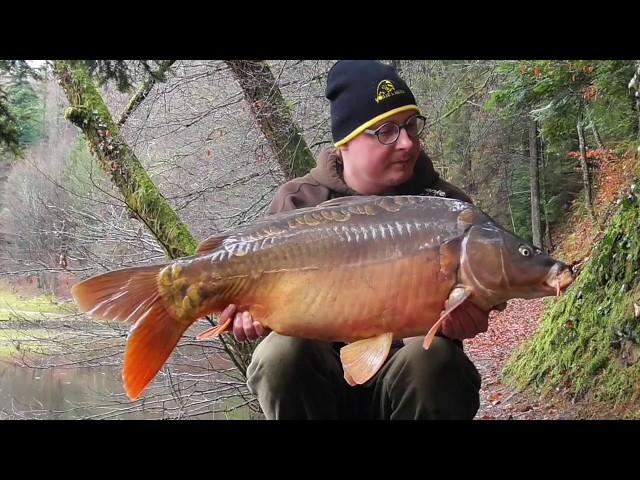 Castle Carp - im Schlosspark mit Daniel Polsinger