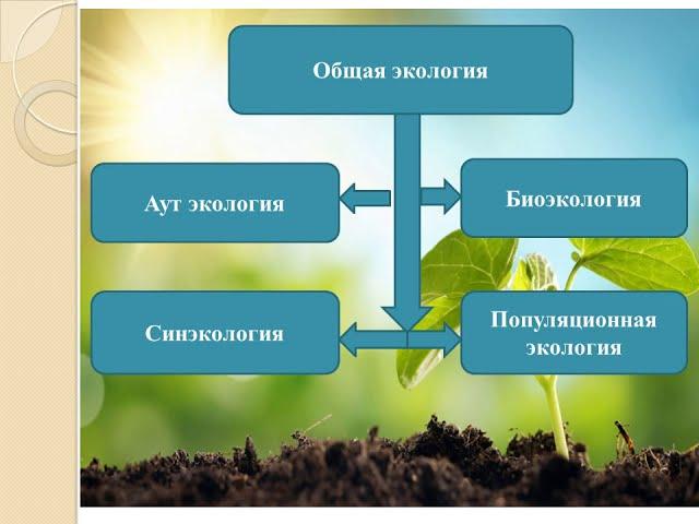 Мурат к. Н. Тема: "Основные понятия, цель и задачи экологии".