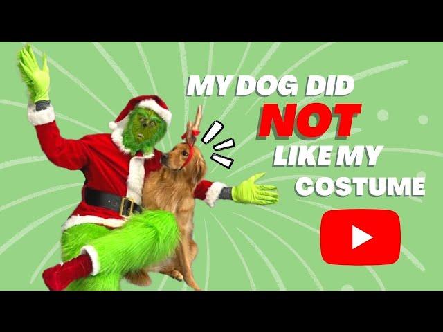 I showed my dog my new Grinch costume. He was NOT HAPPY.