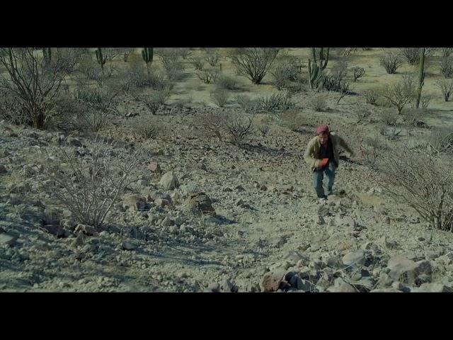 DESIERTO CLIMAX SCENE