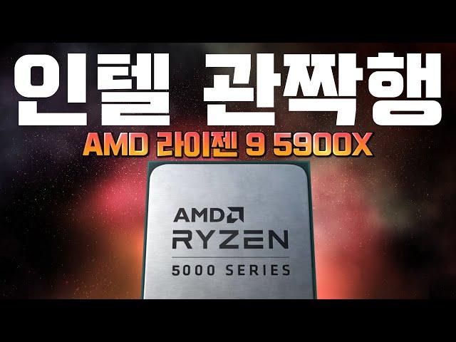 괴물이다 괴물!!!  RYZEN 5900X 작업성능 벤치마크! (AMD vs. Intel)