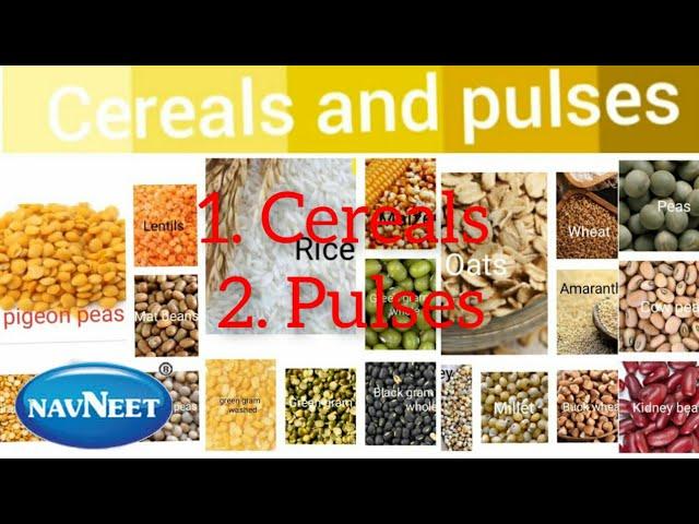 Learn all cereals and pulses name with pictures in English