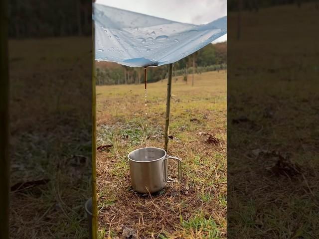 survival skills lifehacks rain #survival #lifehacks #shortsvideo