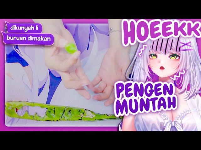 Momen Ketika Kamu Gak Suka Pete Tapi Dipaksa Makan Pete [Lilian Grimmxandra/AKA Virtual]