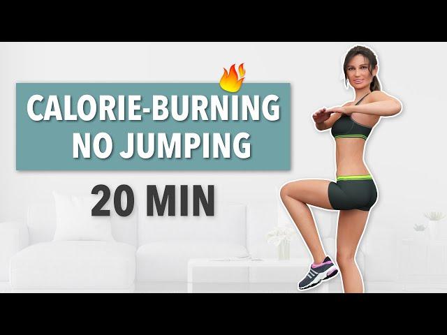 20 MIN NO JUMPING CARDIO - BURN CALORIES WITHOUT HURTING YOUR JOINTS