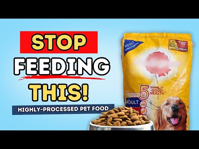 Does Dog Kibble Cause Cancer? The Shocking Truth About Processed Pet Food