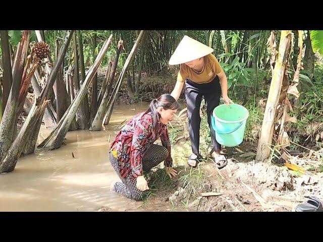 Xem Lại Cảnh Này Mà Muốn Rơi Nước Mắt Không Ngờ Hai Mẹ Con Ở Nhà Tự Đổ Lú Kiếm Ăn | TKQ & Family