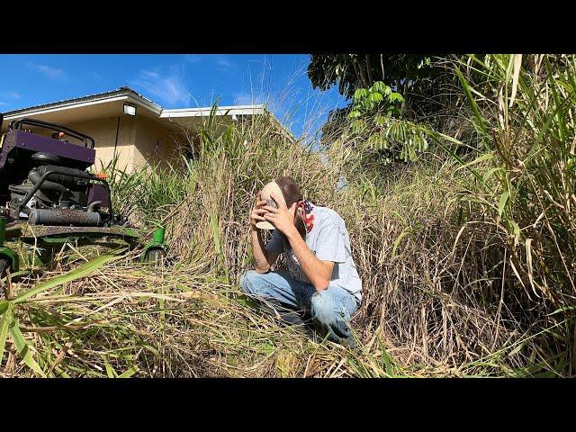 I SURPRISED a RANDOM homeowner with a FREE overgrown yard makeover [HEARTWARMING]