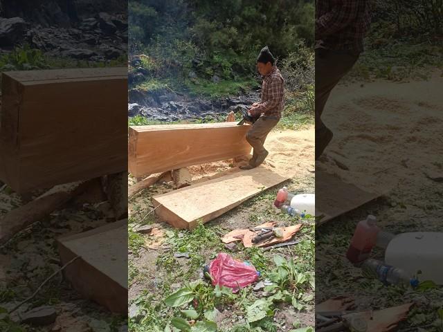 chope and handle firewood cutting  wood June 13, 2025