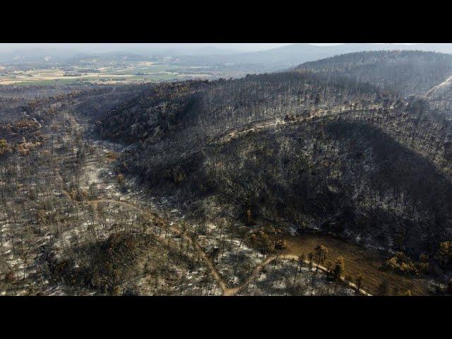 Satellitenbilder zeigen Zerstörung durch Waldbrände auf Euböa