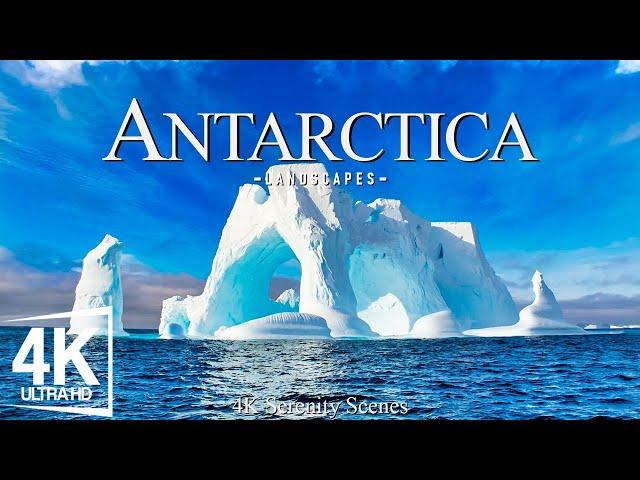 Antartica 4K - Journey Through Majestic Icebergs and Pristine Wilderness | Calming Music