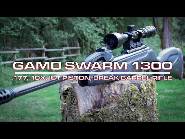 Gamo Swarm 1300 .177, 10X, IGT Piston, Break Barrel Rifle review 2020 #gamoswarm