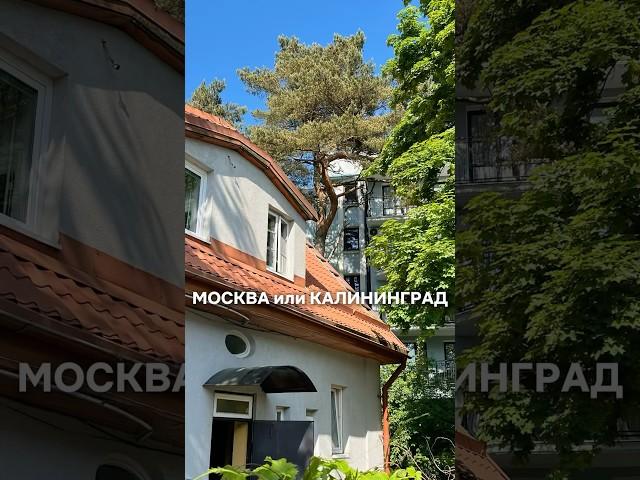 Мой тгк: guideva #калининград #калининградскаяобласть #путешествия