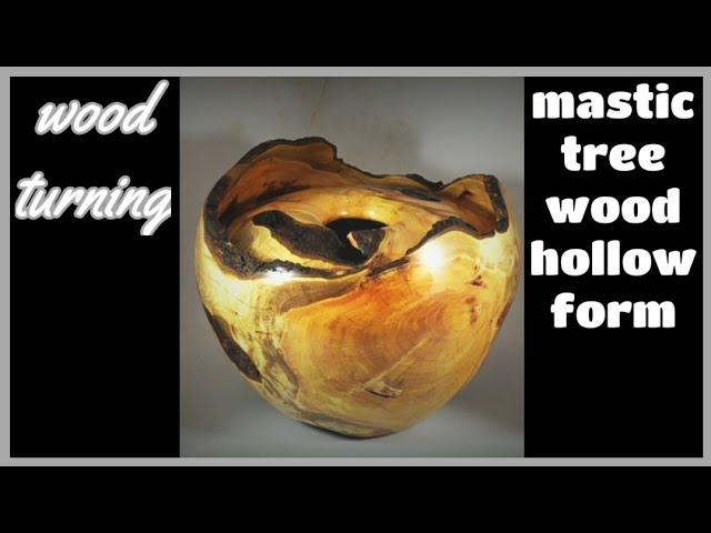 Wood turning mastic tree wood hollow form