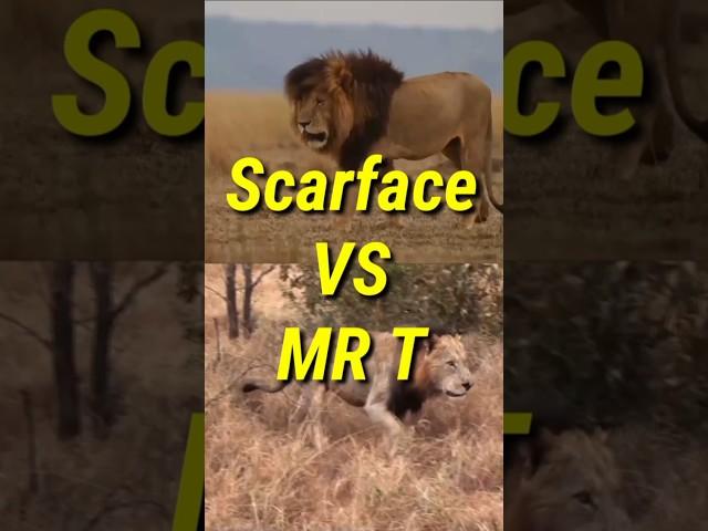 Scarface vs Mr T