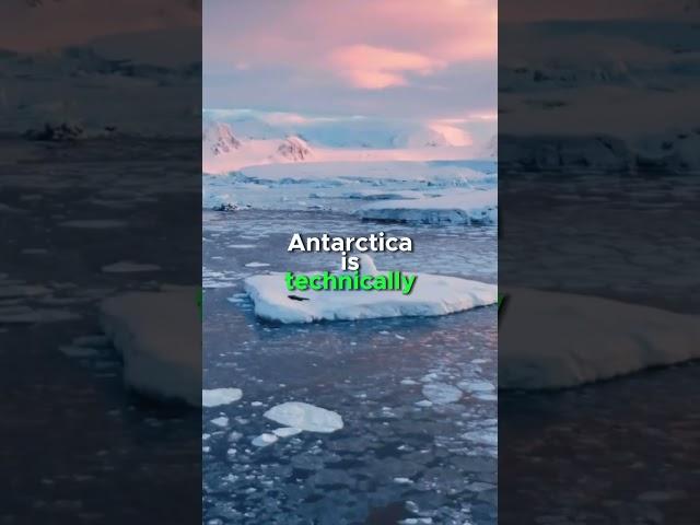Antarctica: The Driest, Windiest, and Coldest Place on Earth  | Fascinating Facts
