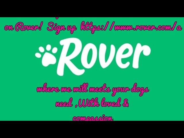 Rover House sitter . Our First Rover House Stay . hmmm . our Pets our innocent